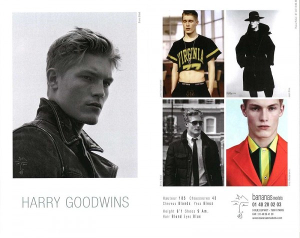 Harry Goodwins