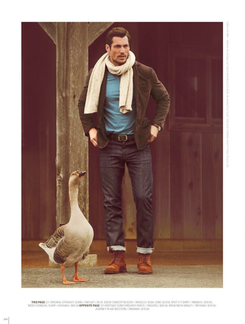 david gandy lucky3