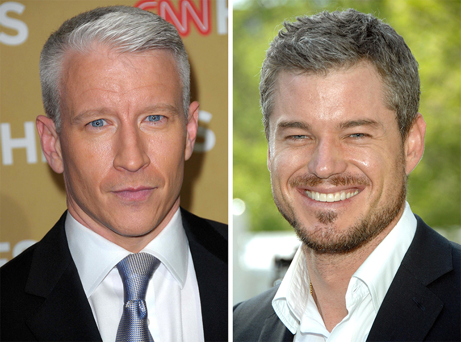 Hollywood Famous Men Gray Hairstyles