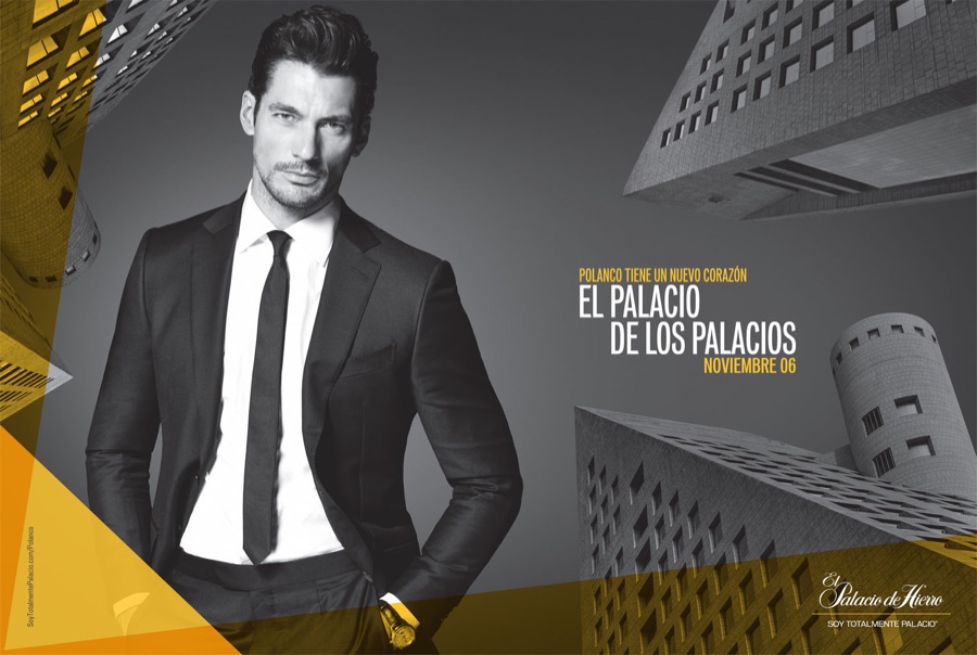 David Gandy 2015 El Palacio de Los Palacios 001