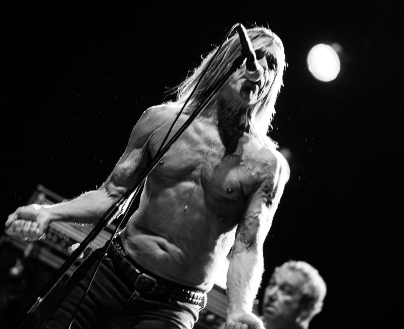 Iggy and The Stooges