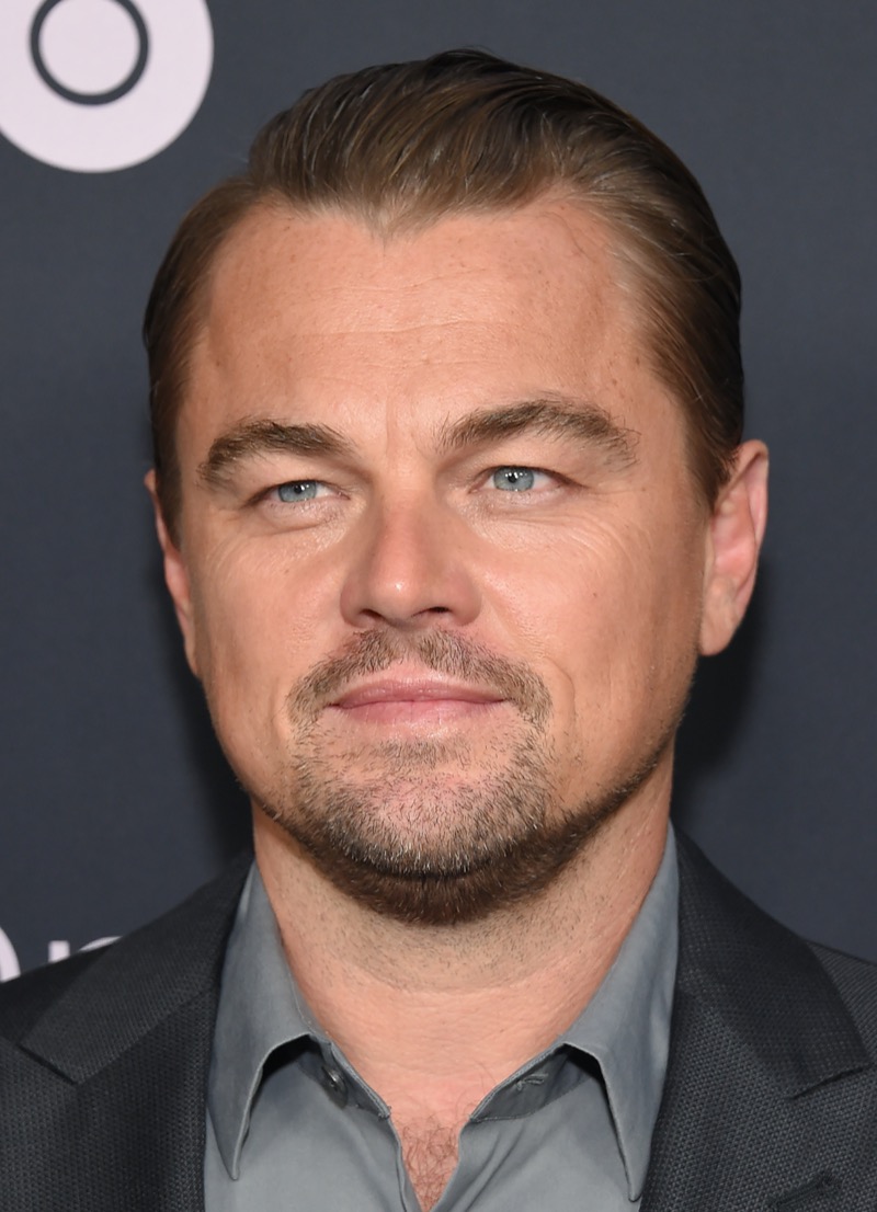 Leonardo DiCaprio slick back hair heart shaped face